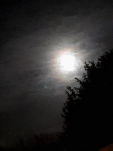 Jacquelien 01 Prachtige volle maan 1